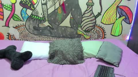 luna_gc online show from January 2025 12:38:01 AM