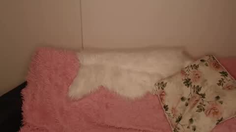 Luna online show from December 2025 02:35:01 PM