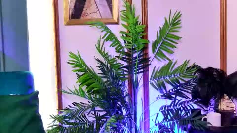 Luna online show from February 2026 06:37:01 AM