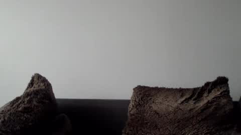 Snapshot of lupine_666 chatting on January 2025 10:32:01 AM Lupine online show from January 2025 10:32:01 AM