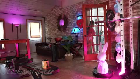 SHOWS ALL MONDAY WEDNESDAYFRIDAYSATURDAY  IN THE MORNING online show from March 2026 05:29:01 PM