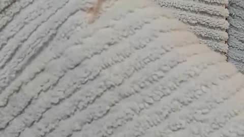 lustgardener67 online show from December 2024 07:24:02 AM