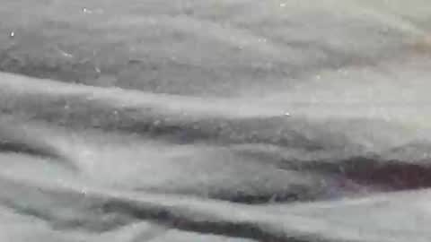 lustgardener67 online show from January 2025 11:24:01 PM