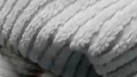 lustgardener67 online show from January 2025 07:15:01 AM