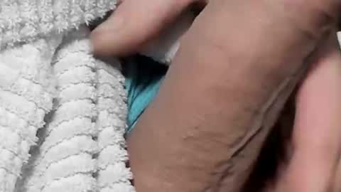 lustgardener67 online show from February 2025 05:45:01 PM