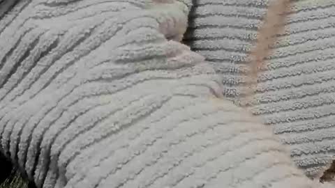 lustgardener67 online show from February 2025 07:16:01 AM