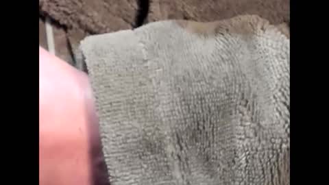 lustgardener67 online show from March 2025 07:19:01 AM