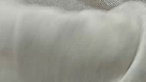 lustgardener67 online show from November 2025 02:28:01 PM