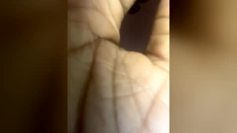 Snapshot of luvvlee chatting on June 2026 06:19:01 AM luvvlee online show from June 2026 06:19:01 AM