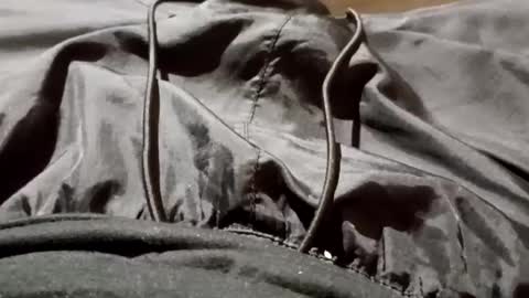 Lvac11 online show from September 2025 11:25:01 AM