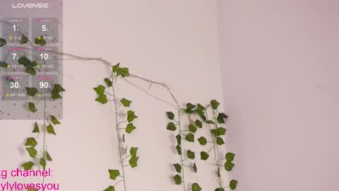 Lyly   online show from October 2025 05:28:01 AM