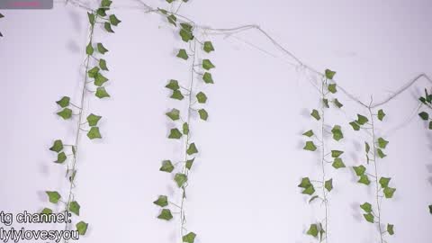 Lyly   online show from January 2026 05:46:02 AM