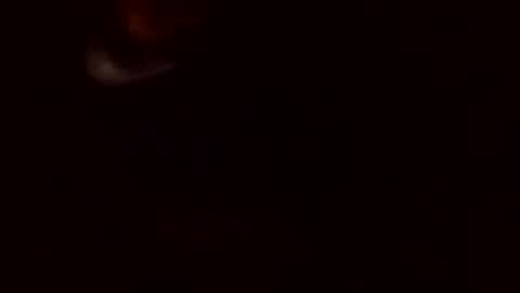 m46162328 online show from April 2026 02:25:02 AM