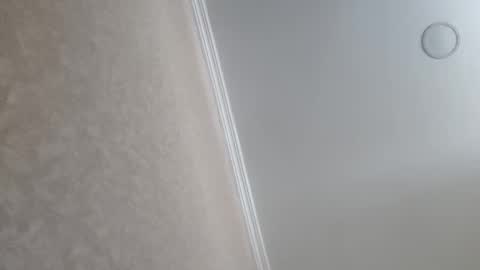 Tchia online show from February 2026 09:39:01 AM