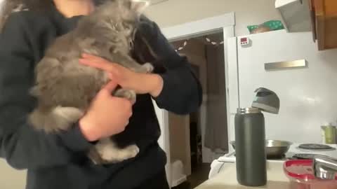 maddyhasyummypussy online show from December 2025 12:48:02 AM