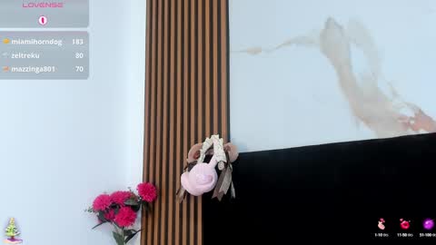 Snapshot of madelin_clerk chatting on January 2025 11:42:01 PM Madelin Clerk online show from January 2025 11:42:01 PM