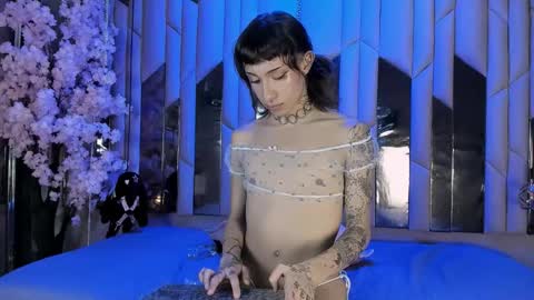  Madison  online show from November 2025 03:34:02 PM