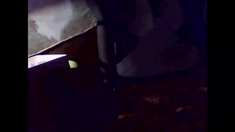 Snapshot of magic199 chatting on November 2025 07:33:02 AM romantic online show from November 2025 07:33:02 AM