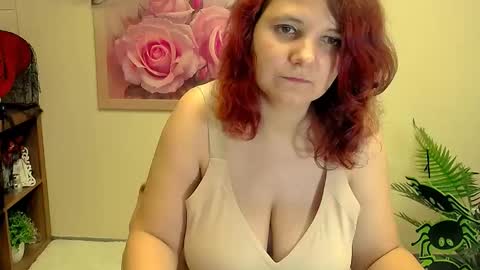 Kristy online show from November 2025 08:24:01 AM