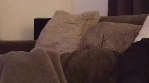 magic_passionitaliano online show from March 2026 06:36:01 PM