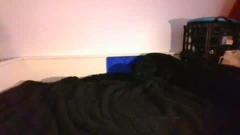 Snapshot of malebdsmslut chatting on December 2024 09:56:02 PM CommandbondageNipples bondage kink submissive lovense slave wgear. modequiethvyBondage If Password goldfish online show from December 2024 09:56:02 PM