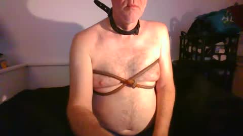 Snapshot of malebdsmslut chatting on January 2025 09:12:01 AM CommandbondageNipples bondage kink submissive lovense slave wgear. modequiethvyBondage If Password goldfish online show from January 2025 09:12:01 AM