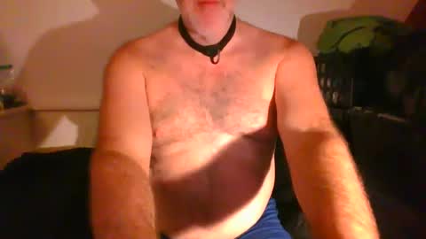 Snapshot of malebdsmslut chatting on September 2025 07:08:02 AM CommandbondageNipples bondage kink submissive lovense slave wgear. modequiethvyBondage If Password goldfish online show from September 2025 07:08:02 AM