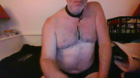 Snapshot of malebdsmslut chatting on September 2025 10:20:01 AM CommandbondageNipples bondage kink submissive lovense slave wgear. modequiethvyBondage If Password goldfish online show from September 2025 10:20:01 AM