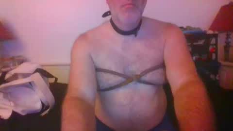 Snapshot of malebdsmslut chatting on October 2025 07:31:01 AM CommandbondageNipples bondage kink submissive lovense slave wgear. modequiethvyBondage If Password goldfish online show from October 2025 07:31:01 AM