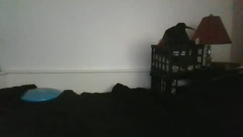 Snapshot of malebdsmslut chatting on May 2026 12:23:01 PM CommandbondageNipples bondage kink submissive lovense slave wgear. modequiethvyBondage If Password goldfish online show from May 2026 12:23:01 PM