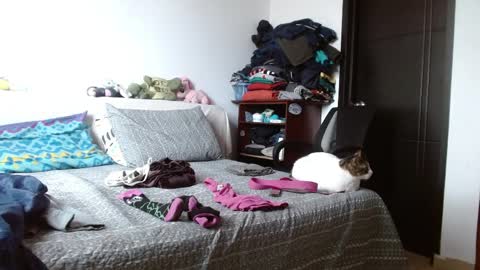 Malita online show from April 2026 04:19:02 PM