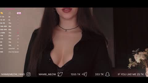 Snapshot of mamiemeow chatting on January 2025 10:42:01 AM Your Miss Alice online show from January 2025 10:42:01 AM