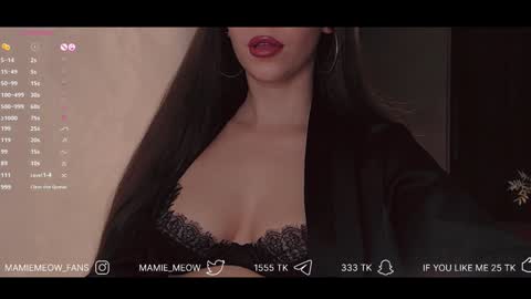 Snapshot of mamiemeow chatting on February 2025 02:48:02 PM Your Miss Alice online show from February 2025 02:48:02 PM