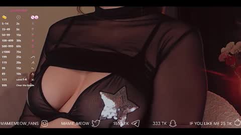 Snapshot of mamiemeow chatting on December 2025 03:43:02 PM Your Miss Alice online show from December 2025 03:43:02 PM