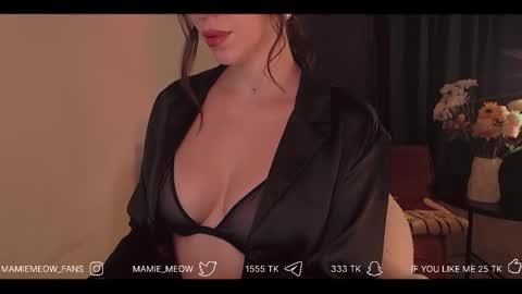 Snapshot of mamiemeow chatting on February 2026 03:17:02 PM Your Miss Alice online show from February 2026 03:17:02 PM