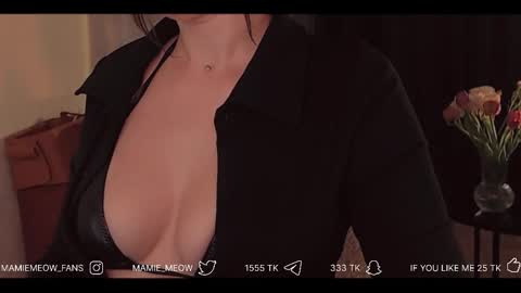 Snapshot of mamiemeow chatting on February 2026 06:20:02 AM Your Miss Alice online show from February 2026 06:20:02 AM