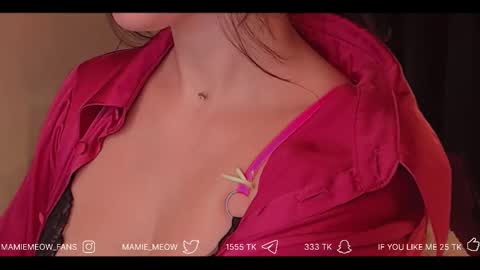 Snapshot of mamiemeow chatting on March 2026 05:08:02 AM Your Miss Alice online show from March 2026 05:08:02 AM