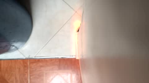 Mickey online show from April 2026 07:00:01 PM