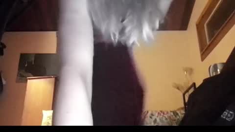 Snapshot of mangoseeed chatting on November 2025 11:12:01 AM mangoseeed online show from November 2025 11:12:01 AM