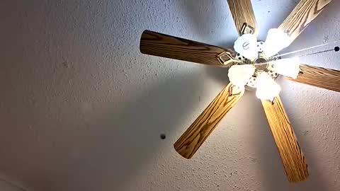 Snapshot of maniak_paraphiliacz chatting on February 2026 05:17:01 AM Jan and Man online show from February 2026 05:17:01 AM