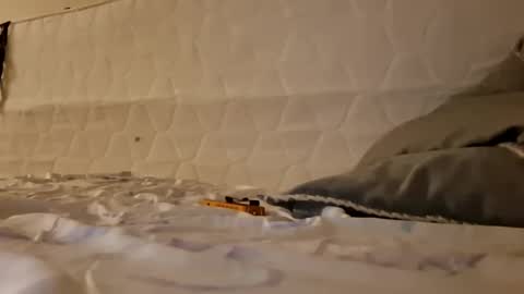 Jan and Man online show from March 2026 03:33:01 AM