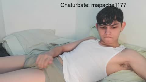 Snapshot of mapache1177 chatting on May 2026 03:36:02 AM mapache1177 online show from May 2026 03:36:02 AM