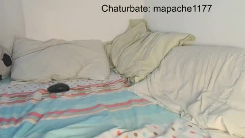 Snapshot of mapache1177 chatting on May 2026 06:59:01 PM mapache1177 online show from May 2026 06:59:01 PM