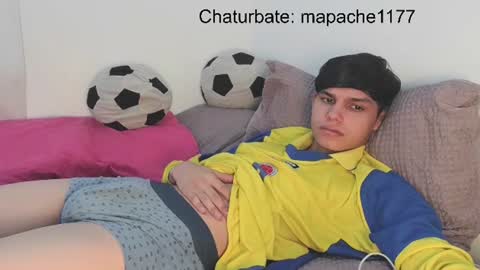 Snapshot of mapache1177 chatting on June 2026 06:07:01 PM mapache1177 online show from June 2026 06:07:01 PM