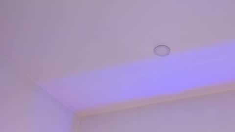 Mara online show from February 2025 03:41:01 AM