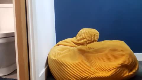 marcoandhoney online show from February 2026 08:05:01 PM