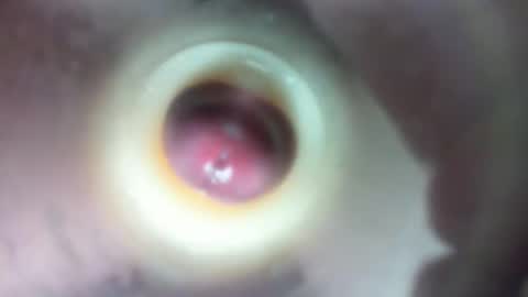 Marc online show from February 2026 01:58:02 AM