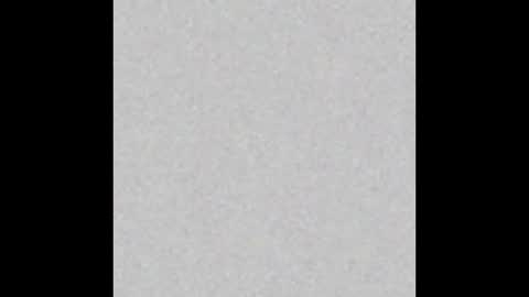 Margot online show from January 2025 12:07:02 PM