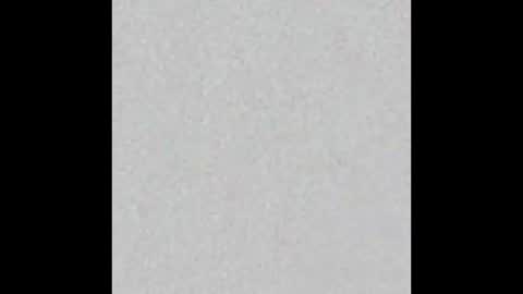 Margot online show from January 2025 11:37:02 AM