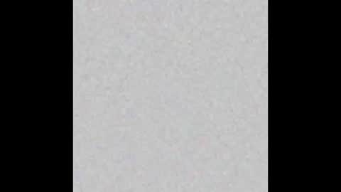 Margot online show from March 2025 11:19:01 AM